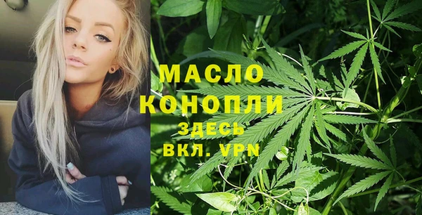 apvp Богородицк