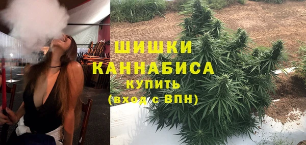 apvp Богородицк
