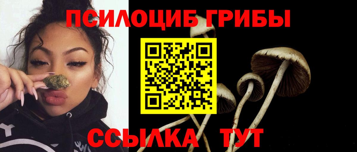 Галлюциногенные грибы MAGIC MUSHROOMS  Вятские Поляны 